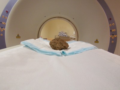 A nest on the X-ray tomography scanner