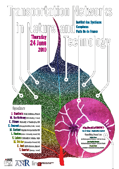Transportation Networks in Nature and Technology workshop